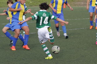 乐鱼体育登陆-史诗级逆转战：从落后20分到胜利！，逆转结局是哪一套史诗